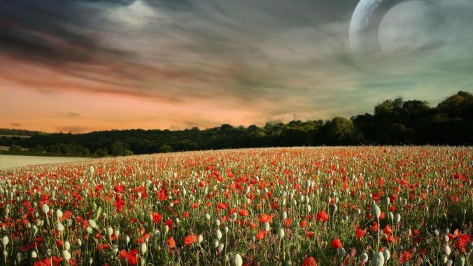 为什么中国企业几乎没有输出先进的管理理论？